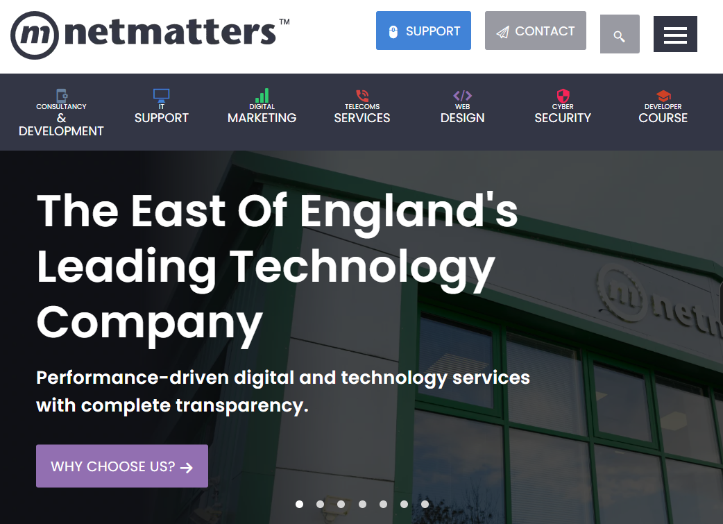An image of my copy of the netmatters website